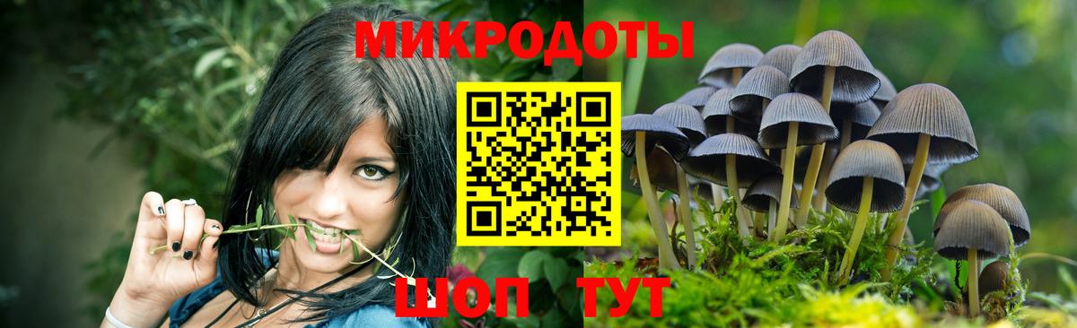Псилоцибиновые грибы Psilocybe  Галлюциногенные грибы MAGIC MUSHROOMS  Вход с VPN  Барнаул 